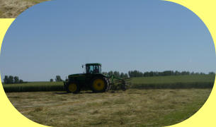 John Deere 7710 beim Heuwenden
