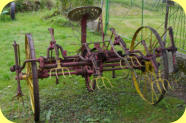 Gabelheuwender (Groß Rodensleben)