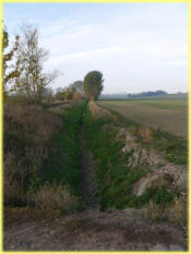 Die Schrote ist wie hier unterhalb der Bude 9, an vielen Stellen ausgetrocknet. Foto:10/2018