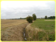 Auch an der Straße im Wellener Grund, Richtung Niederndodeleben, ist im August 2018 nicht viel von Schrotewasser zu sehen.