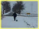 2005 war die Hemsdorfer Chausse noch voller Kirchbäume. Heute  2019 stehen noch ca. 28 . Foto: 06.03.2005