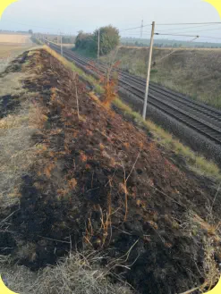 Böschungsbrand an der Bahnstrecke Wellen Ochtmersleben, am 26.08.2019. Foto vom 28.08.2019