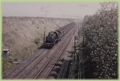 Ein Güterzug aus Richtung Magdeburg nähert sich der Brücke. Foto um 1965 (?)