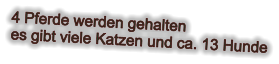 4 Pferde werden gehalten es gibt viele Katzen und ca. 13 Hunde