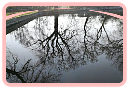 Dorfteich in Hemsdorf