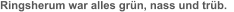 Ringsherum war alles grün, nass und trüb.