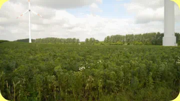 Blick in Richtung Schrote , der Fischteich links und der Scheibenberg über die Bildmitte