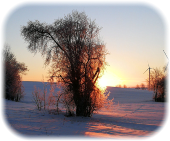 13.Februar 202, 07:42 Uhr in Richtung Kl. Rodensleben geht die Sonne auf. Der Mirabellenbaum auf "Hosenthiens Wiese" mitten in einer Schneelandschaft.