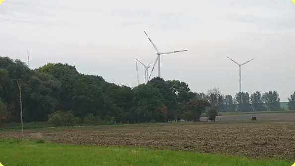 Wenig später sind auch die Flügel an ihrem Fleck.