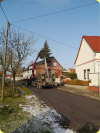 Auch wenn es so aussieht, nicht die Tanne, sondern der Strommast wird entfernt. (2/2018)
