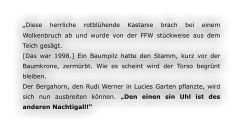 „Diese herrliche rotblühende Kastanie brach bei einem Wolkenbruch ab und wurde von der FFW stückweise aus dem Teich gesägt. [Das war 1998.] Ein Baumpilz hatte den Stamm, kurz vor der Baumkrone, zermürbt. Wie es scheint wird der Torso begrünt bleiben. Der Bergahorn, den Rudi Werner in Lucies Garten pflanzte, wird sich nun ausbreiten können. „Den einen sin Uhl ist des anderen Nachtigall!“