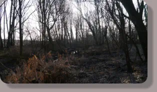2017: Die Schrote schlängelt sich durch dem Fischteich