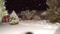 14.Januar 2017,es fallen ca 10cm Schnee