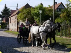 Bestes Wetter, gut Laune, prima Fuhre.  Foto:10/2018