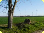 Ein Findling setzt dem Scheibenberg bei Hemsdorf die Krone auf. Foto: 01.04.2019