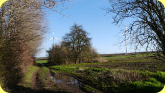 Im Januar 2018 lag Schlüter's Garten (Schlüter's Gaarn) noch im "Winterschlaf". Aufnahme aus Richtung Groß Rodensleben.