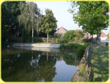 Der Dorfteich Ende August 2019. Deutlich ist der ehemalige Wasserstand im Teich auszumachen. In dieser Höhe würde der Teich aber noch nicht in die Schrote abfließen.