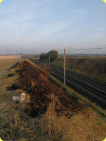 Böschungsbrand an der Bahnstrecke Wellen Ochtmersleben, am 26.08.2019. Foto vom 28.08.2019