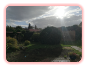 Blick über den Hof während eines kurzen Regenschauers. Aufnahme 16.09.2022