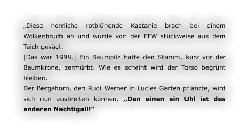 „Diese herrliche rotblühende Kastanie brach bei einem Wolkenbruch ab und wurde von der FFW stückweise aus dem Teich gesägt. [Das war 1998.] Ein Baumpilz hatte den Stamm, kurz vor der Baumkrone, zermürbt. Wie es scheint wird der Torso begrünt bleiben. Der Bergahorn, den Rudi Werner in Lucies Garten pflanzte, wird sich nun ausbreiten können. „Den einen sin Uhl ist des anderen Nachtigall!“