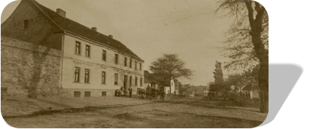 Eine der großen Rüstern gegenüber dem Gasthof. Ansicht einer Postkarte um 1900.