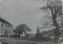 rechts der Rüsterberg mit Rüster, links die Gaststätte Horbach