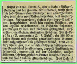 bis zu 30 Meter
