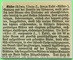 bis zu 30 Meter