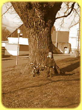 Willi am 16.03.2021 an der "Friedenseiche" in Hemsdorf